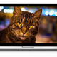 Illustration for article titled Googles Artificial Brain Loves to Watch Cat Videos